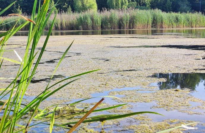 Zakończyło się oczyszczanie jednego z najpopularniejszych olsztyńskich jezior.